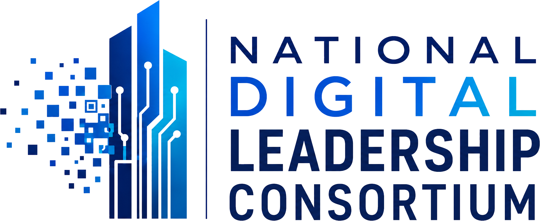 National Digital Leadership Consortium™